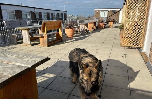 Aberporth Apartamento | Estudio-Balcón-Baño privado con ducha