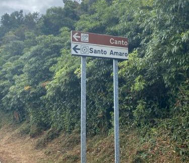 Santo Amaro Casa | Rosa Chá