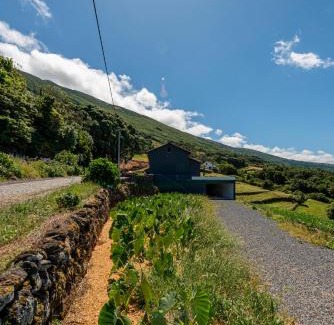 Santo Amaro Casa | Rosa Chá