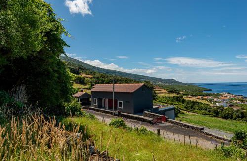 Santo Amaro Casa | Rosa Chá
