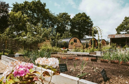 Mortimer West End Cabaña | Rosemary Pyggy - Luxury Cottages