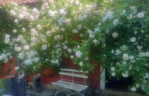Halle Cama Y Desayuno | Rosindell cottage