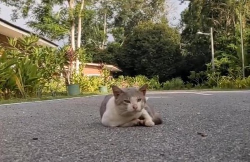 Air Hangat Villa | Rouhi Retreats By Doulos