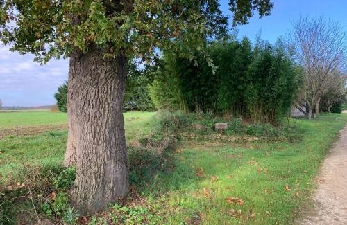 Mirepoix Otro | Roulotte et Nature