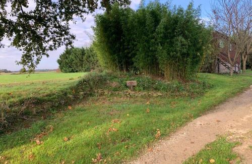 Mirepoix Otro | Roulotte et Nature