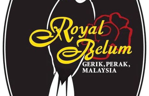 Temenggor Alquiler De Eote | Royal Belum Mystical