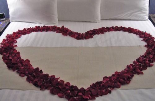 Reynosa Hotel | Royal Garden Reynosa