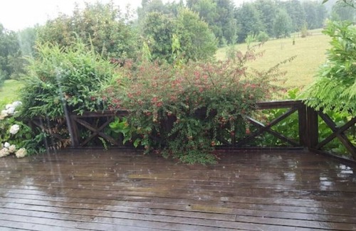 Puerto Octay Apartamento | Ruka Ayün