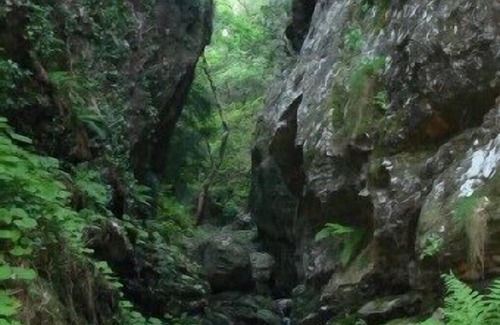 Saint-Melany Casa | Alojamiento rural de la castaña en el sur de ardèche