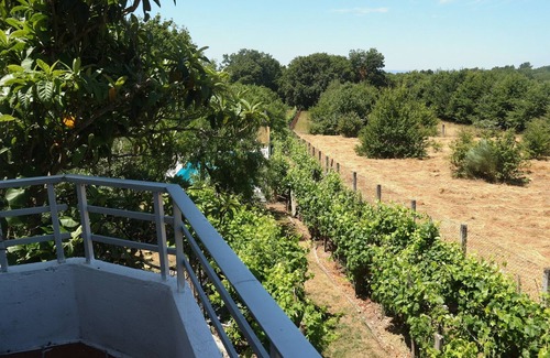 Loureiro Casa | Casa rural con piscina y barbacoa. Camino de Santiago. Próxima a Ribeira Sacra