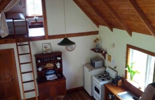 Collingwood Cabaña | Ruru Cottage - refugio acogedor bosque nativo