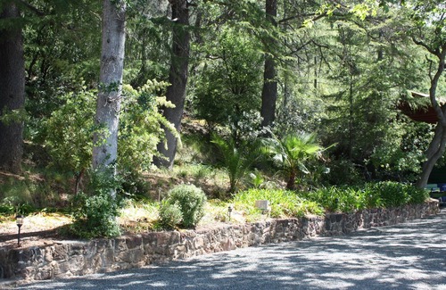 Clearlake Cabina | Rústica cabaña de madera de 1930 duerme siete en el entorno de finca privada