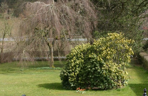Sundern Apartamento | Apartamento rústico con terraza, chimenea y un gran jardín