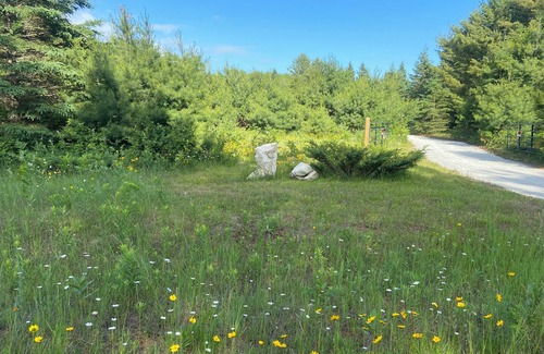 De Tour Village Alquiler De RV | Rustic campground in De Tour Village with Large secluded lots. Site A