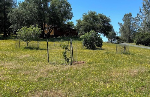 Penn Valley Apartamento | Rustic Studio Getaway Pet Friendly