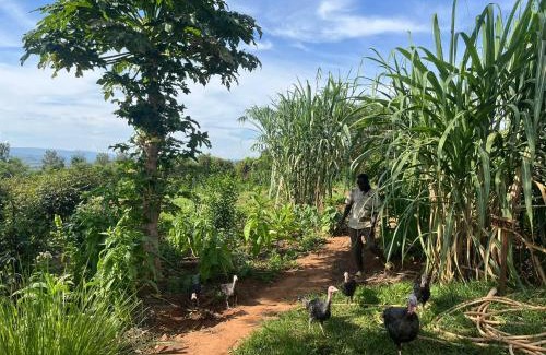 Agakera National Park Cabina | Rutete Eco Lodge
