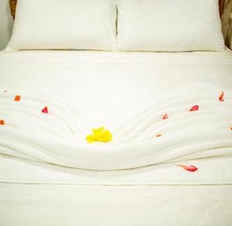 Alankuda Hotel | Ruveesha Ayurveda Resort