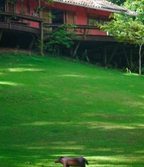 Serra Grande Cama Y Desayuno | Sítio Refúgio - Experiência