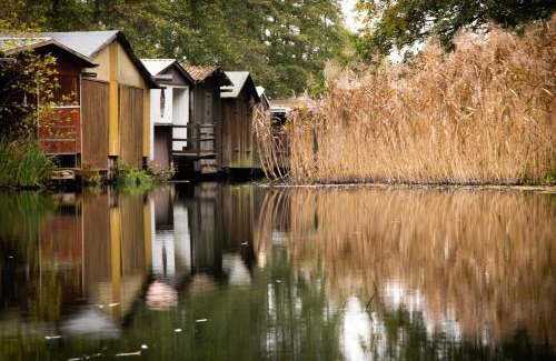 Muritz Casa | Südkugel - Kugelhaus in ökologischer Bauweise am Tollensesee