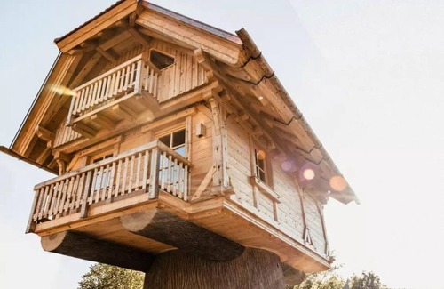 Seelbach Apartamento | 's Baumhaus Dörfle - Holiday paradise Schwarzwälder Hof