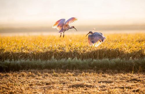 Sado Hotel | Sado Ryosou Minato