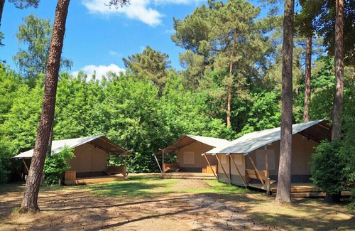 Lichtaart Complejo | Safari Tenten met Sanitair 4 personen