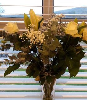 Dundalk Cama Y Desayuno | Safe Haven - Luxury Family Accommodation