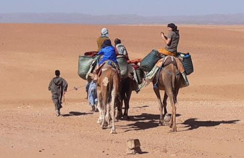 M'Hamid El Ghizlane Cabina | Sahara Peace