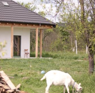 Valsanesti Casa | Saint Friday Cottage - Retreat, Garden and Forest