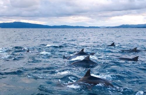 Sakitsu Casa | Sakitsu house TAMA - Vacation STAY 49306v