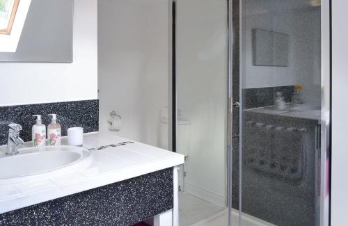 Buckie Casa | Salty Dog