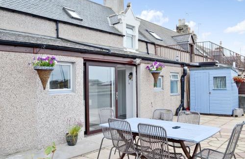 Buckie Casa | Salty Dog