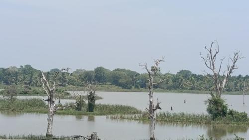 Kataragama Apartamento | Sandaliya Rest - සඳලිය රෙස්ට්