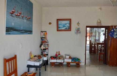 Dzidzantún Hotel | Santa Clara Hotel and Tours