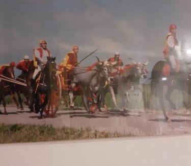 San Martino in Pensilis Hotel | Santoianni