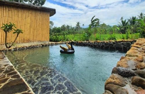 Kayangan Hotel | Sawah Ijen