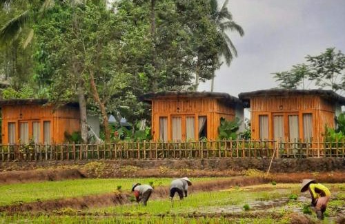 Kayangan Hotel | Sawah Ijen