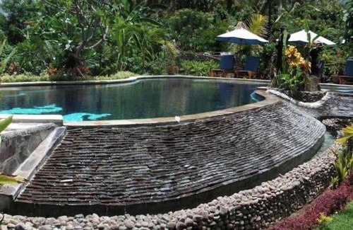 Lovina Complejo | Sawah Lovina