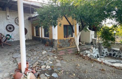 Alacali Casa | Saygın Çiftliği