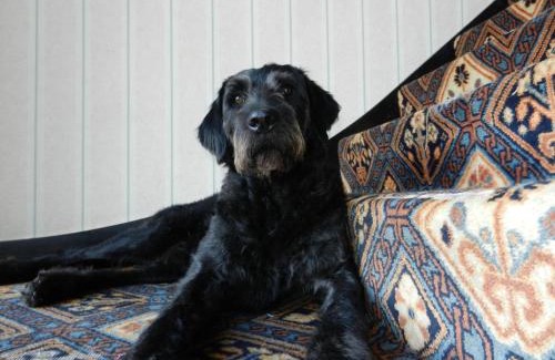 Hook Hotel | Schoolhouse Restaurant and Hotel