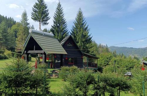 Lunca Bradului Chalet De Esquí | Schwarz Kabin