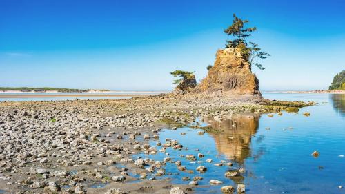 Lincoln City Hotel | Sea Echo Motel