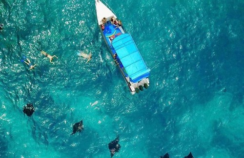 Tanjungbenoa Alquiler De Eote | seahorse yacht bali 8hour per day To Nusa penida