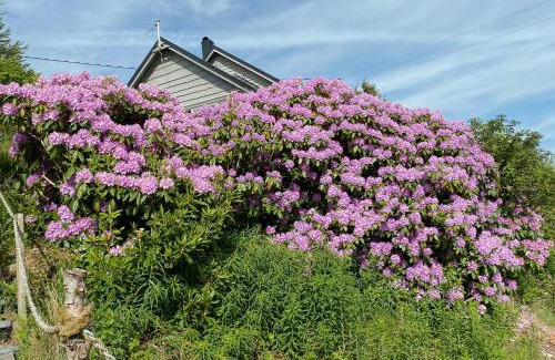 Radoy Casa | Seaside Cabin With Archipelago Views In Radøy