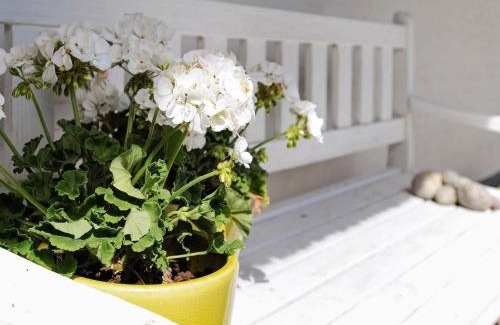 Vedelshave Casa | Seaside Charm in Baring - By Traum Ferienwohnungen