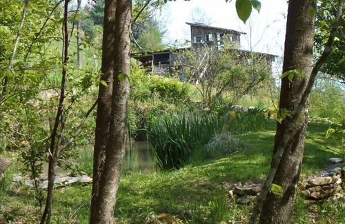 Burnsville Cabina | Cabaña aislada en 45 acres privados con senderos, estanque, mascotas Ok.