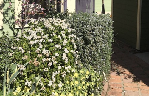 Burlingame Cabaña | Secluded Guest Cottage in Historical South Park **New Remodel