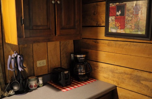 Old Washington Cabina | Secluded Hot Tub Cabin in the Heart of Southeast Ohio