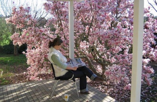 Bundanoon Apartamento | Estancia de granja "Ferndale"