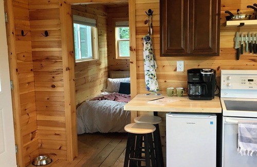 Goshen Cabina | Secluded Tiny Cabin Screened Porch Sleeps 4 - Goshen Springs Getaway